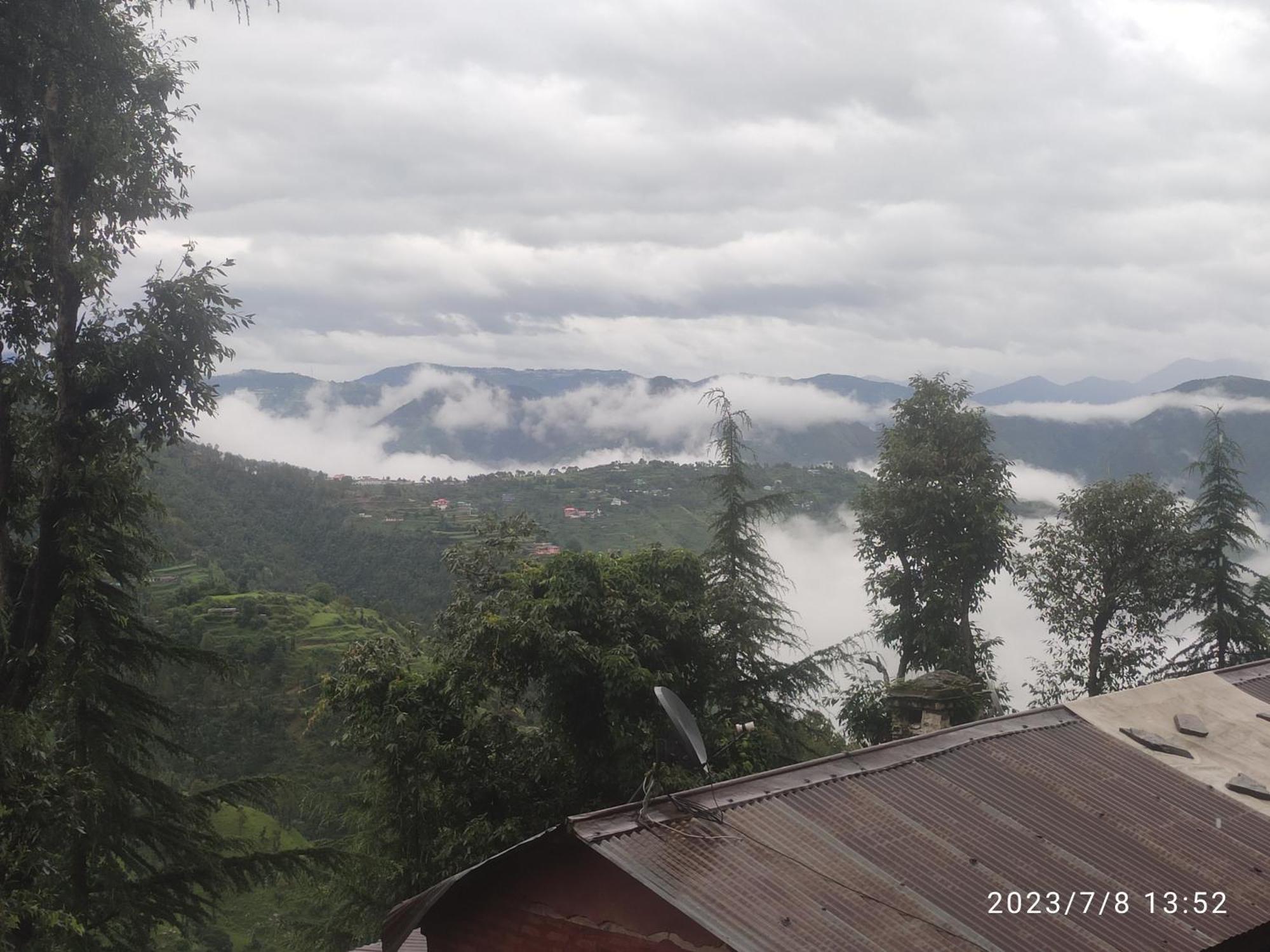 Tree Valley Homestay Chail Εξωτερικό φωτογραφία