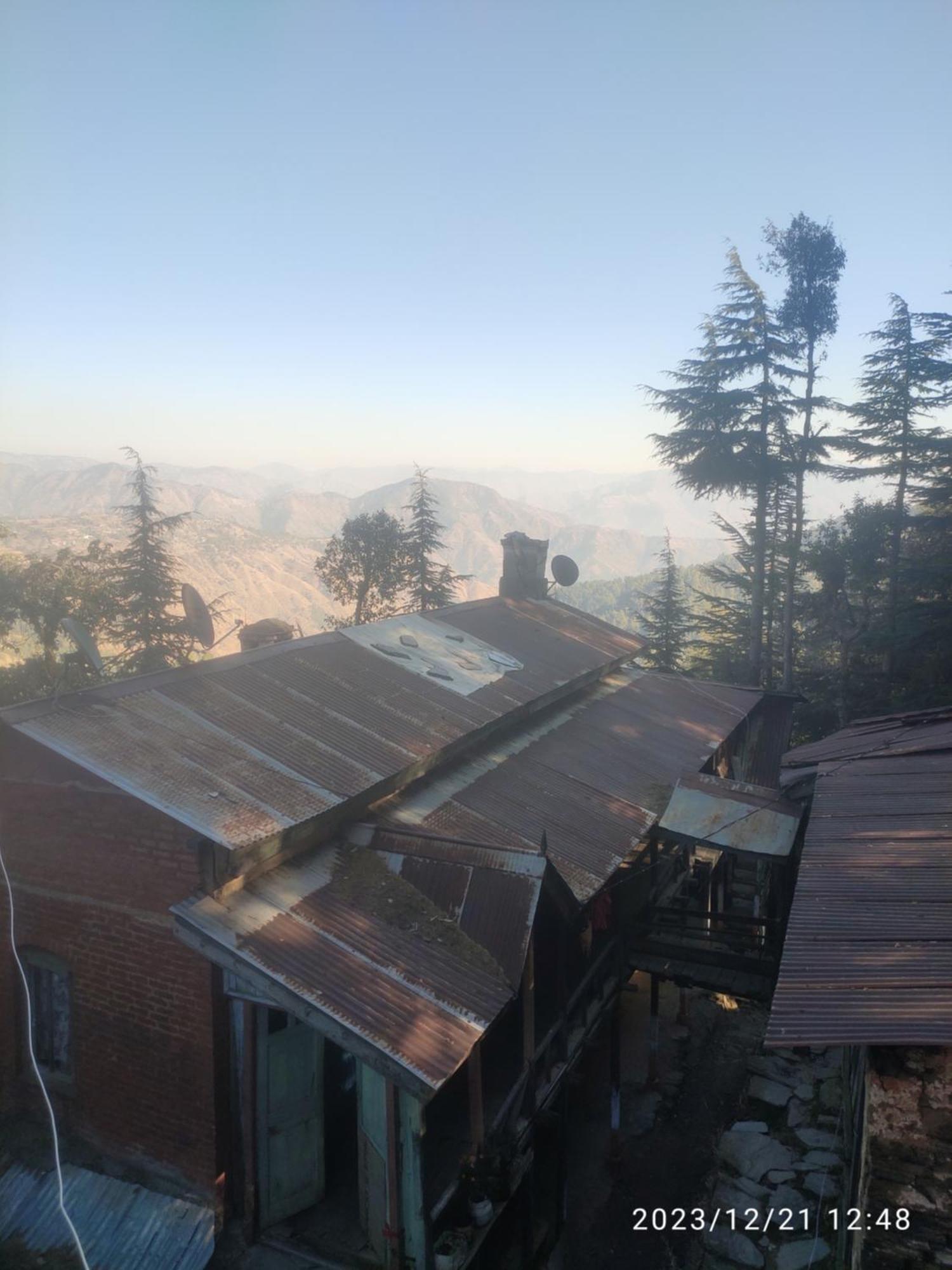 Tree Valley Homestay Chail Εξωτερικό φωτογραφία