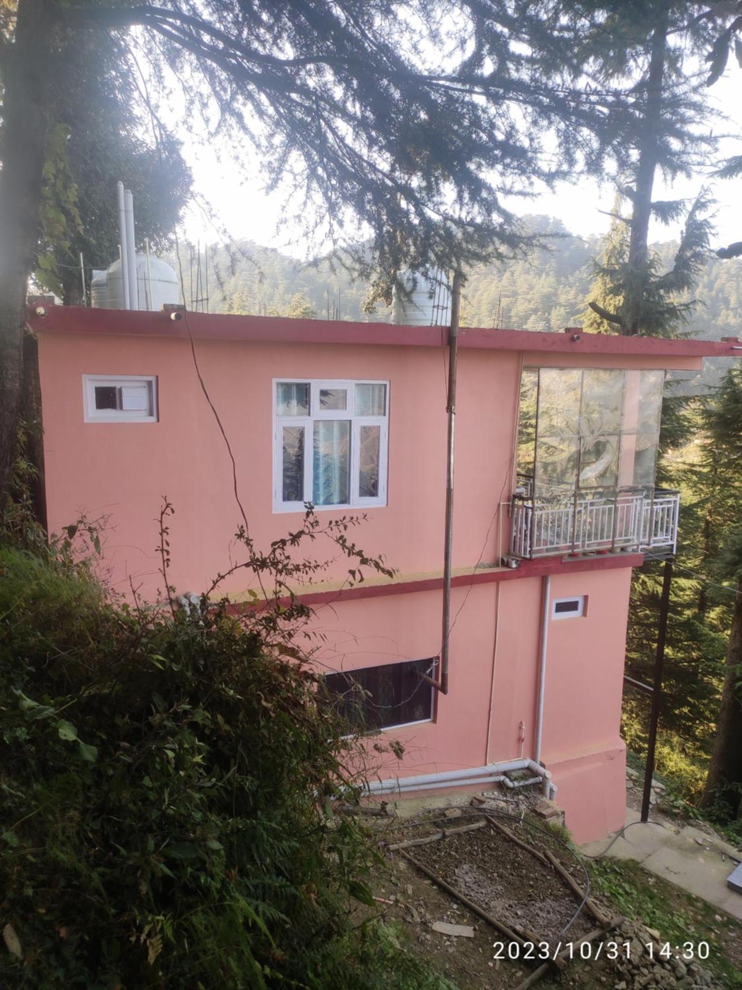 Tree Valley Homestay Chail Εξωτερικό φωτογραφία