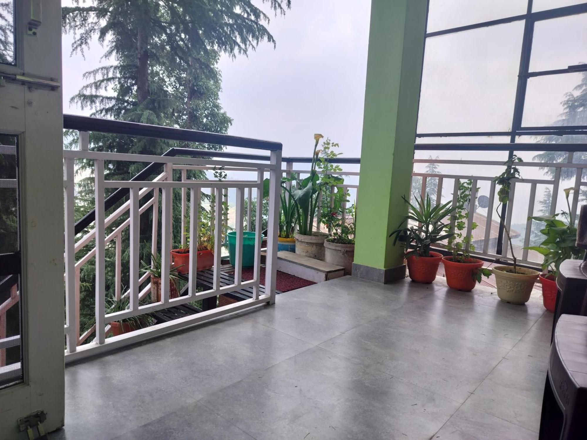 Tree Valley Homestay Chail Εξωτερικό φωτογραφία