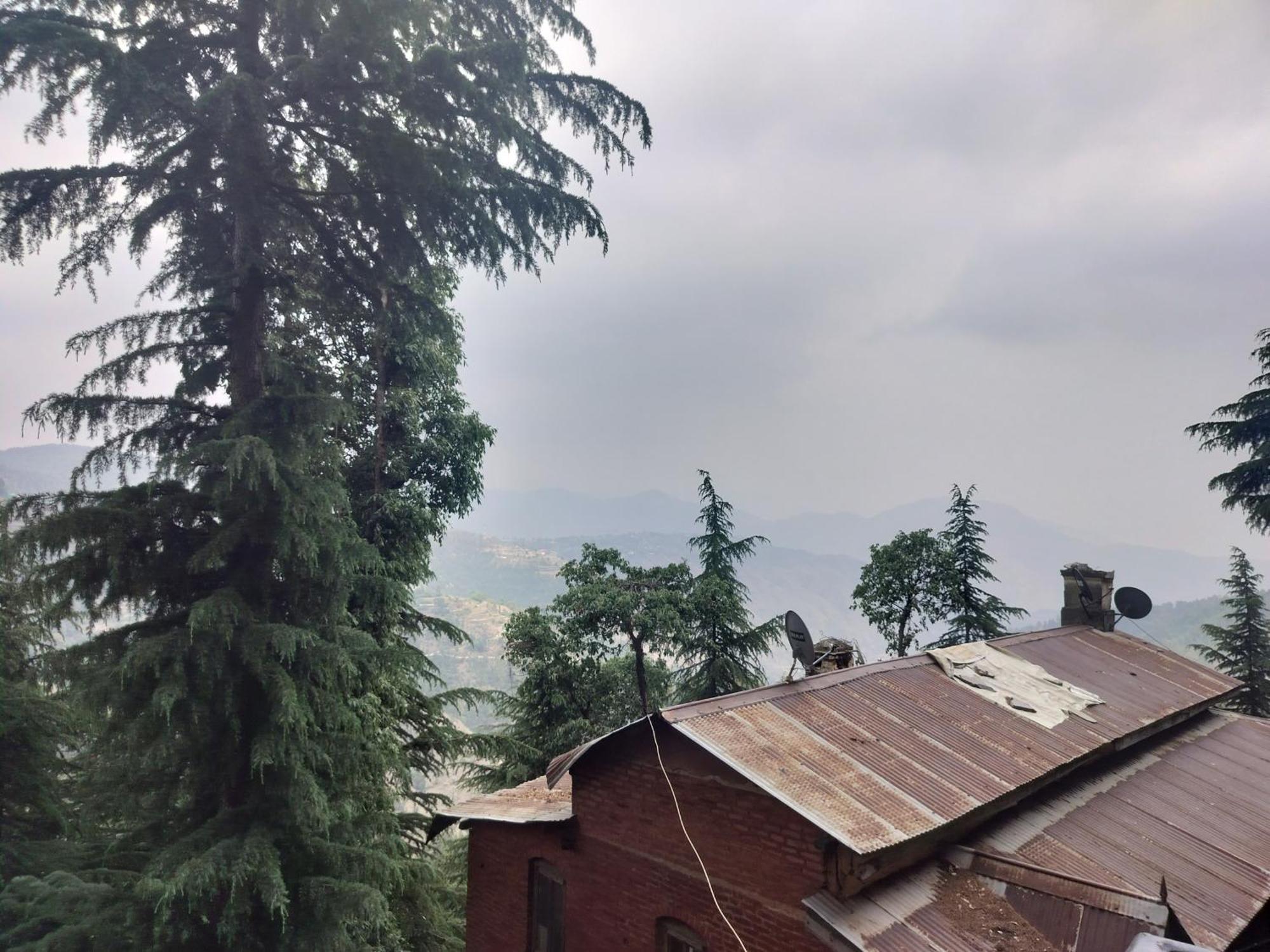 Tree Valley Homestay Chail Εξωτερικό φωτογραφία