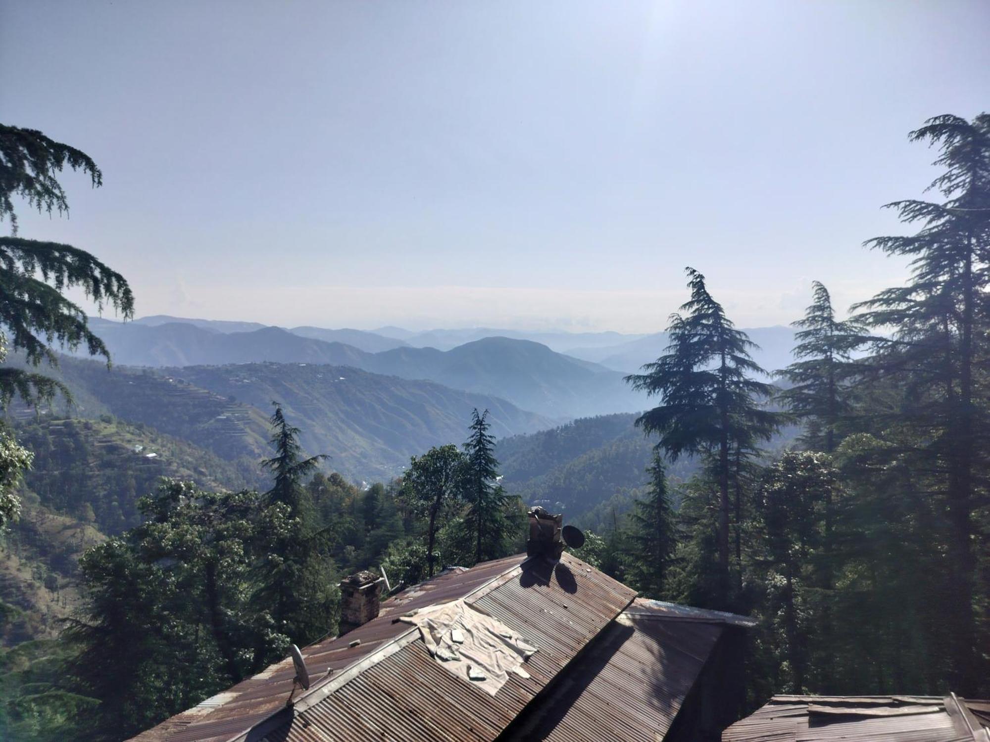 Tree Valley Homestay Chail Εξωτερικό φωτογραφία