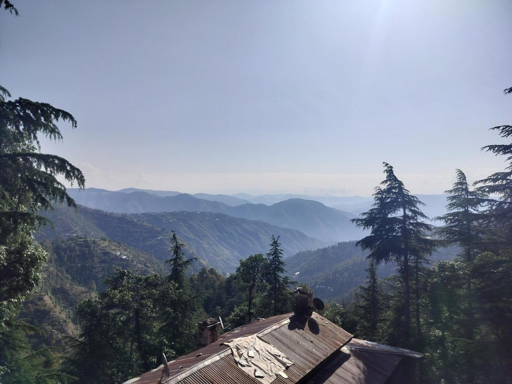 Tree Valley Homestay Chail Εξωτερικό φωτογραφία