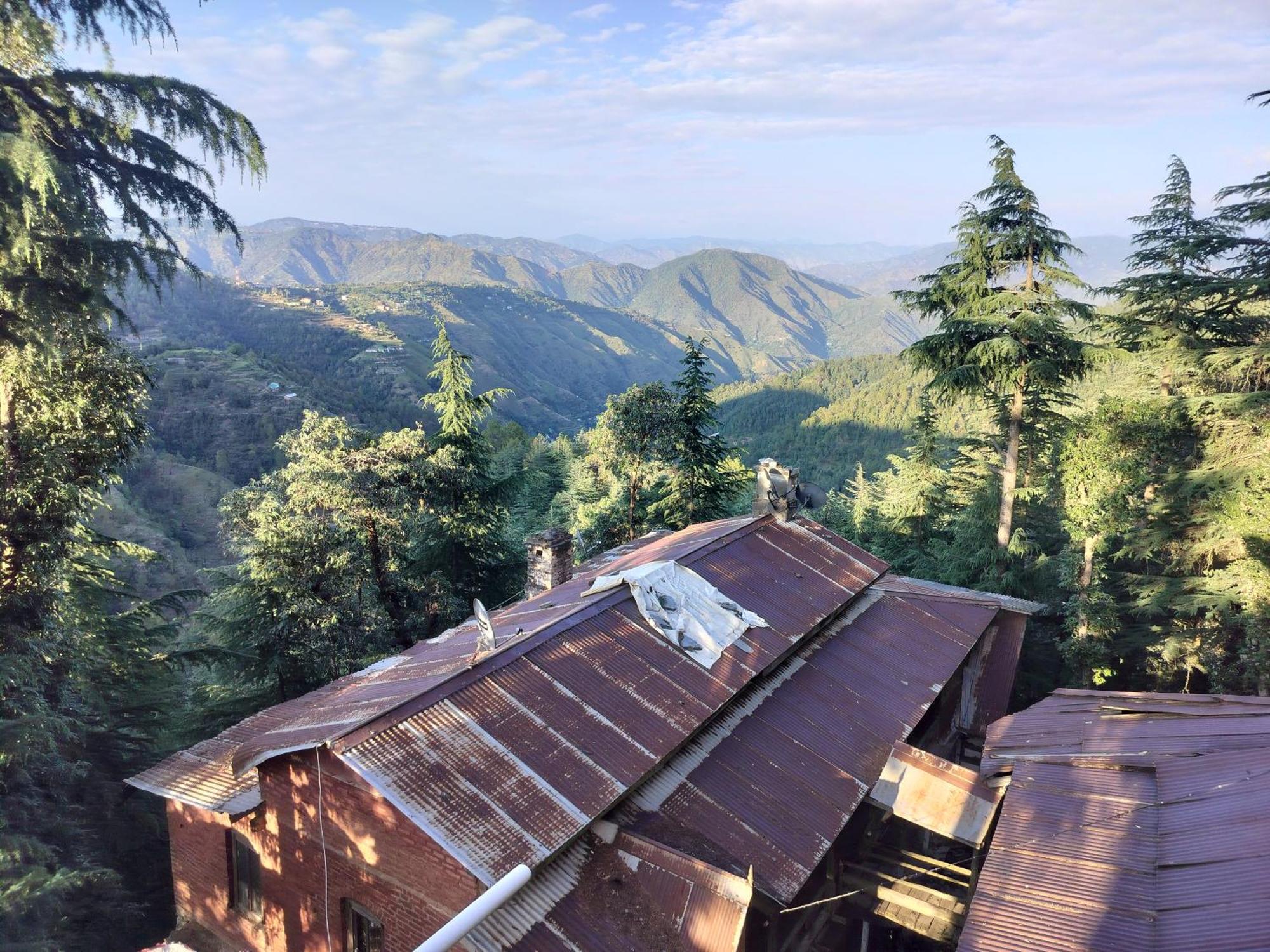 Tree Valley Homestay Chail Εξωτερικό φωτογραφία
