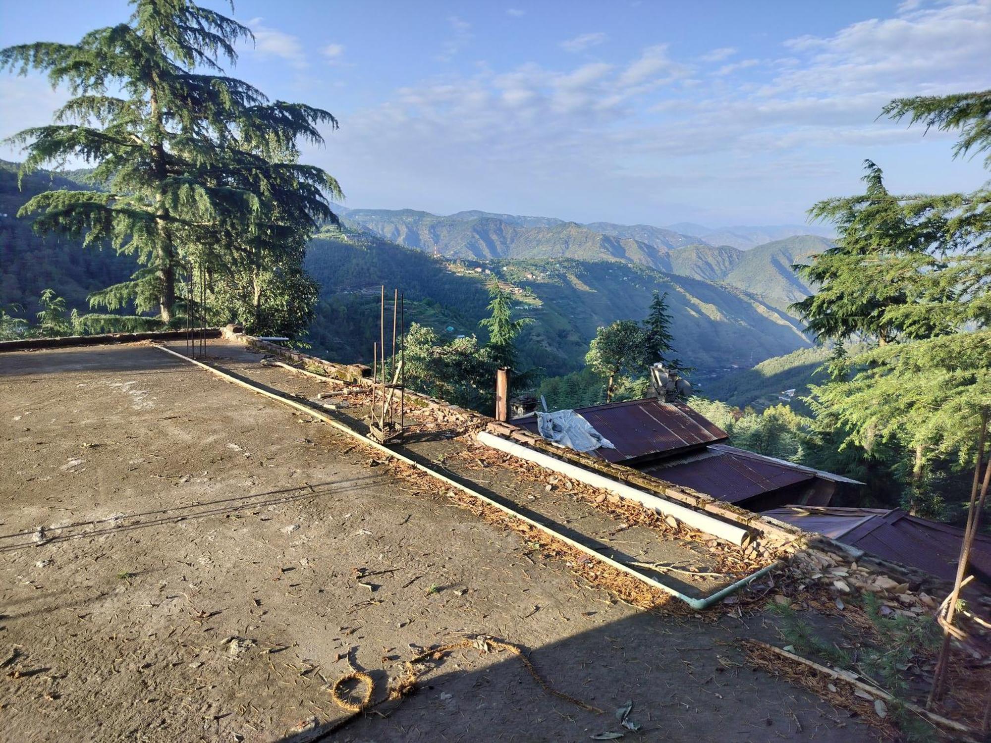 Tree Valley Homestay Chail Εξωτερικό φωτογραφία
