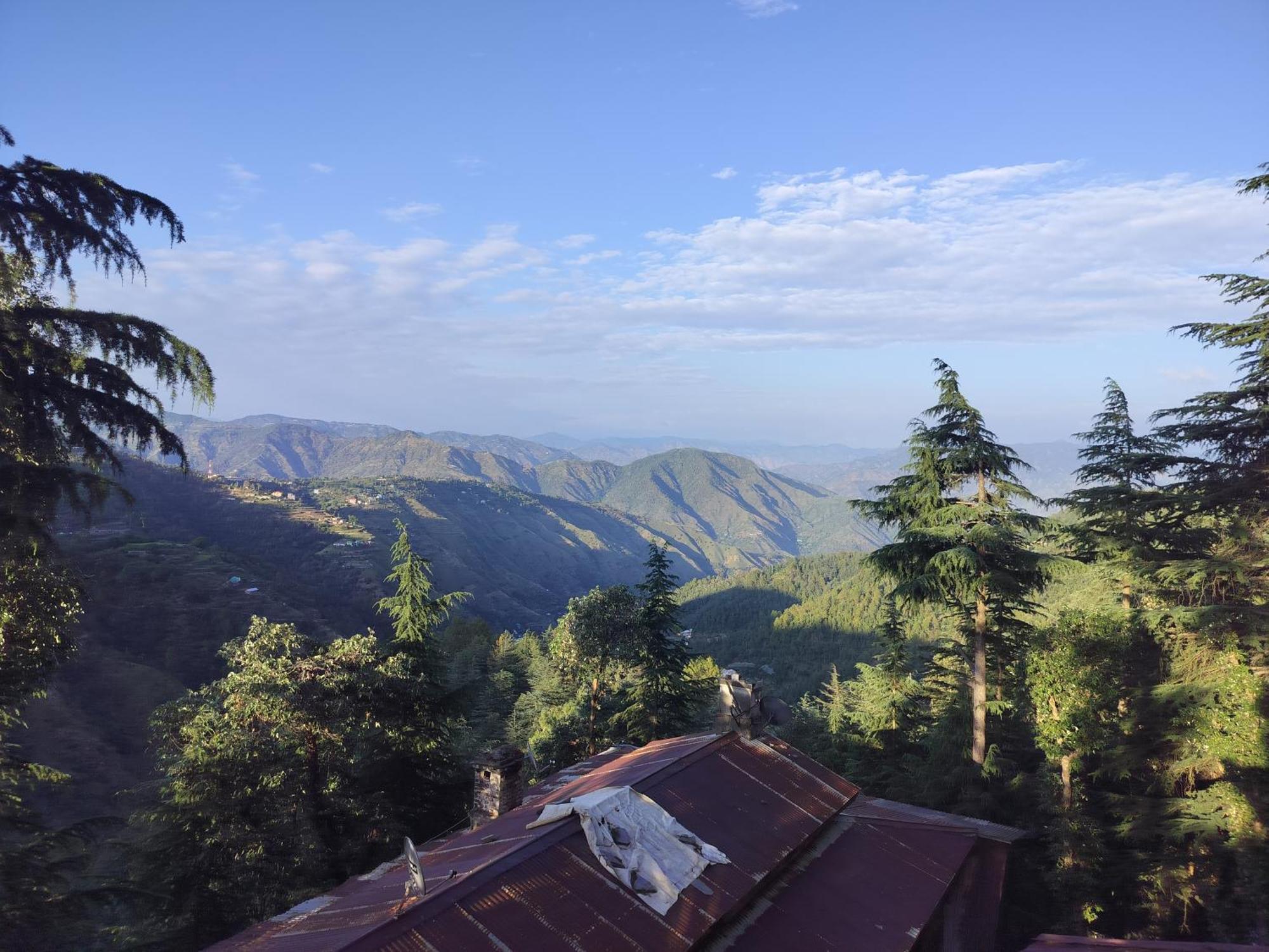 Tree Valley Homestay Chail Εξωτερικό φωτογραφία
