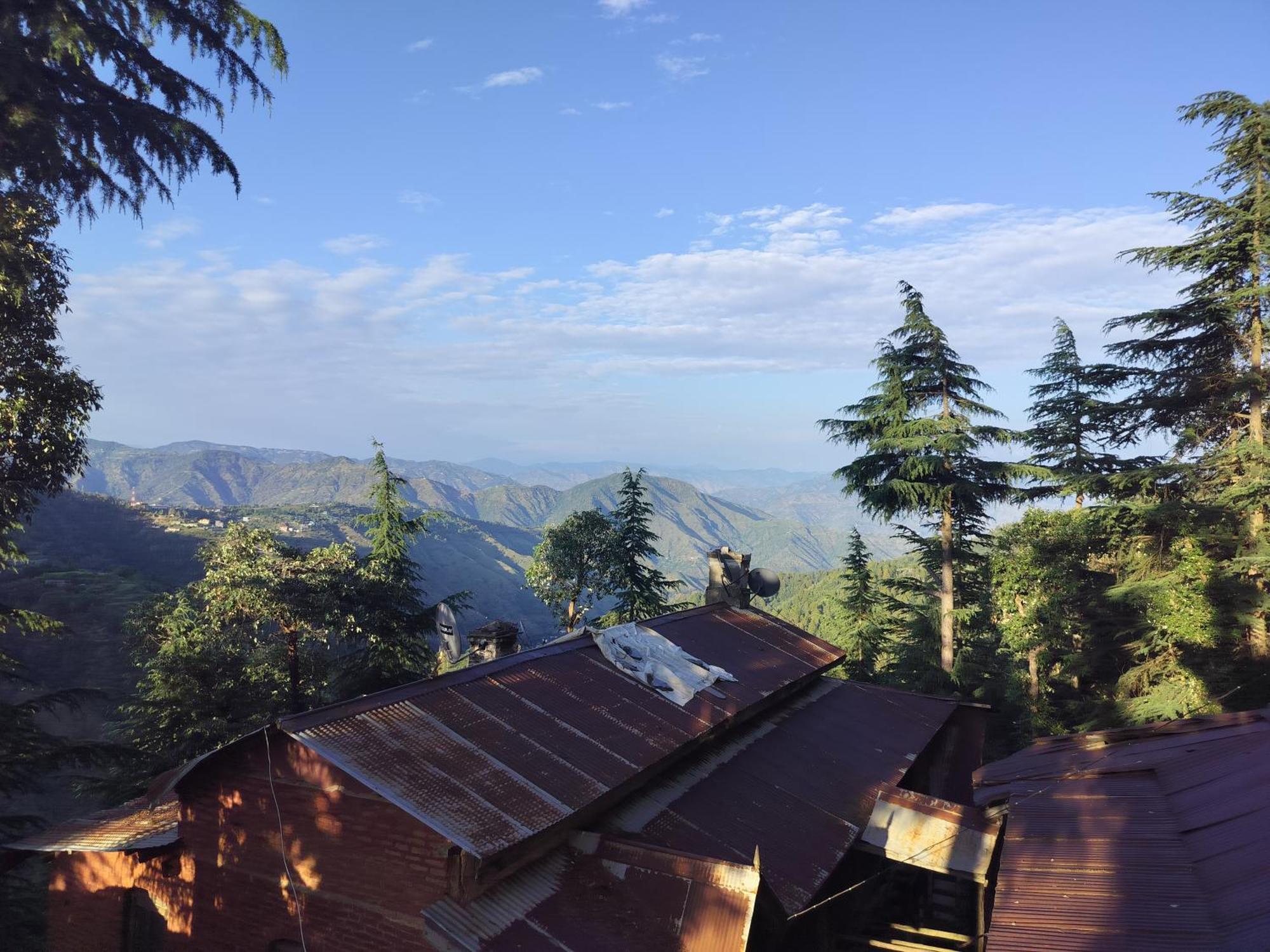 Tree Valley Homestay Chail Εξωτερικό φωτογραφία